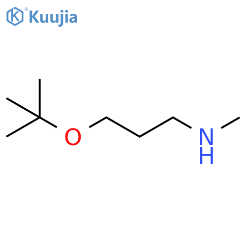 3-(tert-butoxy)propyl(methyl)amine structure