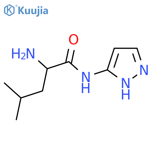 2-amino-4-methyl-N-(1H-pyrazol-3-yl)pentanamide structure