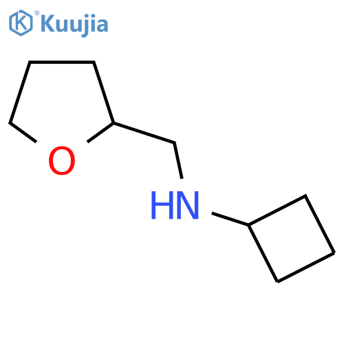 N-[(oxolan-2-yl)methyl]cyclobutanamine structure