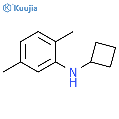 N-cyclobutyl-2,5-dimethylaniline structure