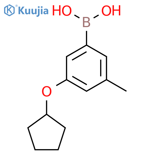 (3-(Cyclopentyloxy)-5-methylphenyl)boronic acid structure