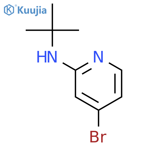 4-Bromo-N-(tert-butyl)pyridin-2-amine structure