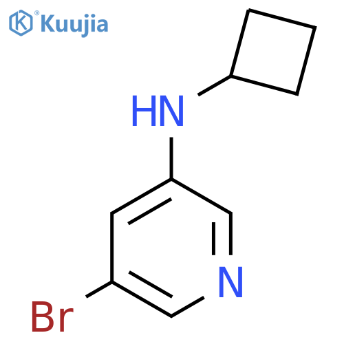 5-Bromo-N-cyclobutylpyridin-3-amine structure