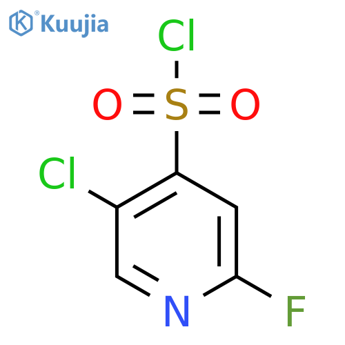 5-Chloro-2-fluoropyridine-4-sulfonyl chloride structure