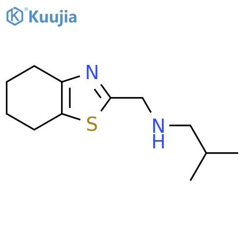 2-methyl-N-(4,5,6,7-tetrahydro-1,3-benzothiazol-2-ylmethyl)propan-1-amine structure