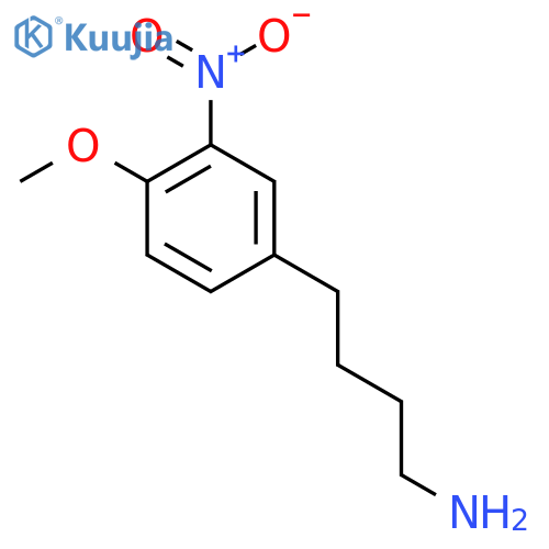 4-(4-methoxy-3-nitrophenyl)butan-1-amine structure