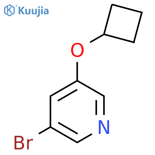 3-Bromo-5-cyclobutoxypyridine structure