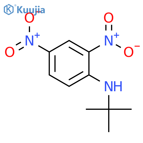 Benzenamine,N-(1,1-dimethylethyl)-2,4-dinitro- structure