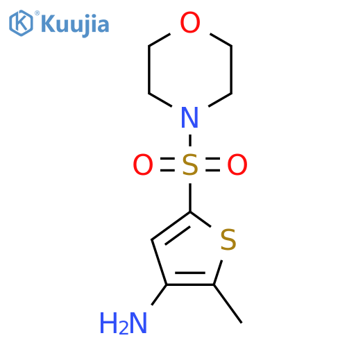 2-methyl-5-(morpholine-4-sulfonyl)thiophen-3-amine structure
