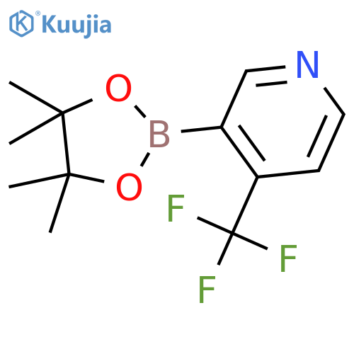 3-(4,4,5,5-tetramethyl-1,3,2-dioxaborolan-2-yl)-4-(trifluoromethyl)pyridine structure