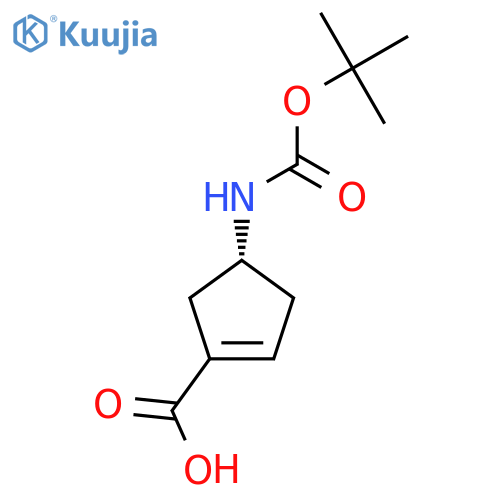 (4R)-4-(tert-butoxycarbonylamino)cyclopentene-1-carboxylic acid structure