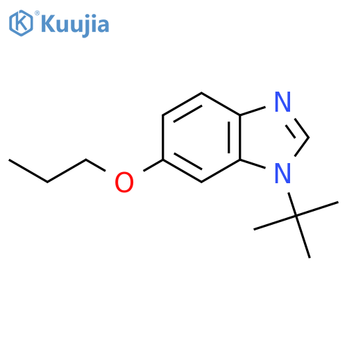 1-(tert-Butyl)-6-propoxy-1h-benzodimidazole structure