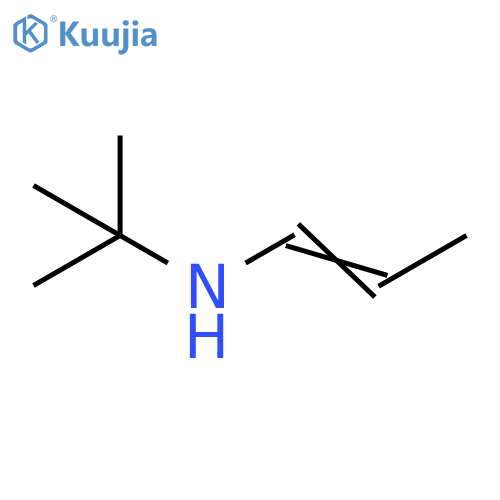 tert-butyl(prop-1-en-1-yl)amine structure