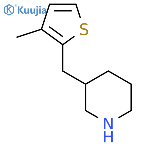 3-(3-methylthiophen-2-yl)methylpiperidine structure