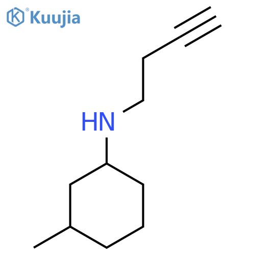 N-(but-3-yn-1-yl)-3-methylcyclohexan-1-amine structure
