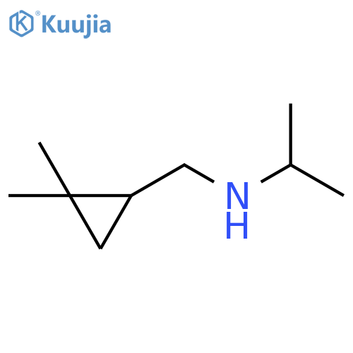 [(2,2-dimethylcyclopropyl)methyl](propan-2-yl)amine structure