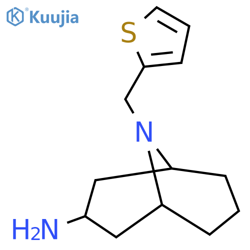 9-(thiophen-2-yl)methyl-9-azabicyclo3.3.1nonan-3-amine structure