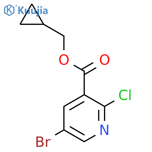 Cyclopropylmethyl 5-bromo-2-chloropyridine-3-carboxylate structure