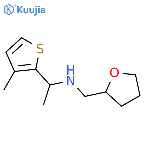 [1-(3-methylthiophen-2-yl)ethyl][(oxolan-2-yl)methyl]amine structure