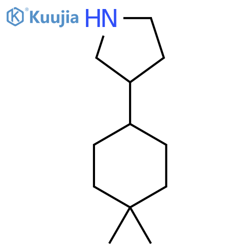 3-(4,4-dimethylcyclohexyl)pyrrolidine structure