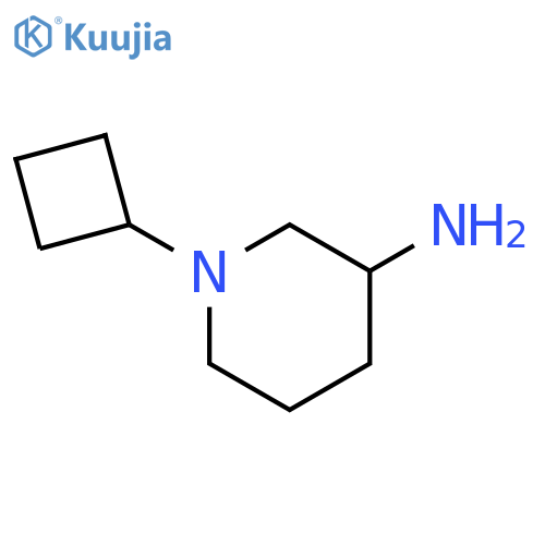 1-cyclobutylpiperidin-3-amine structure