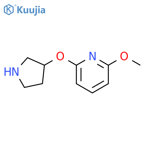2-methoxy-6-(pyrrolidin-3-yloxy)pyridine structure