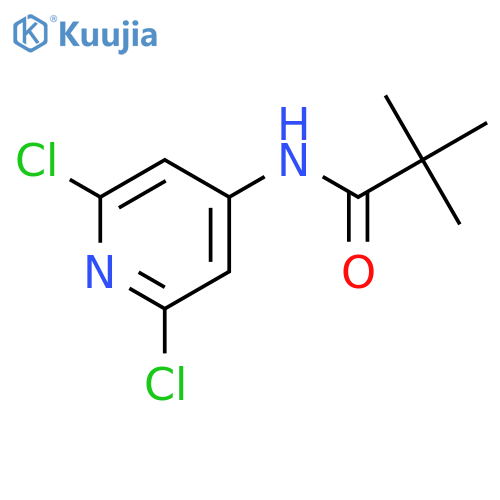 N-(2,6-dichloropyridin-4-yl)pivalamide structure