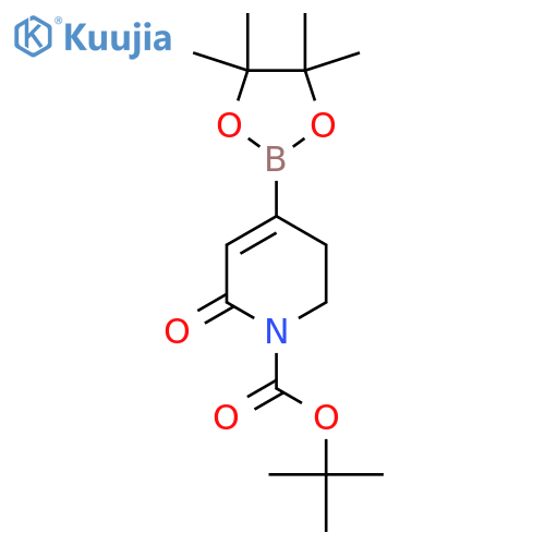 tert-butyl 6-oxo-4-(tetramethyl-1,3,2-dioxaborolan-2-yl)-1,2,3,6-tetrahydropyridine-1-carboxylate structure