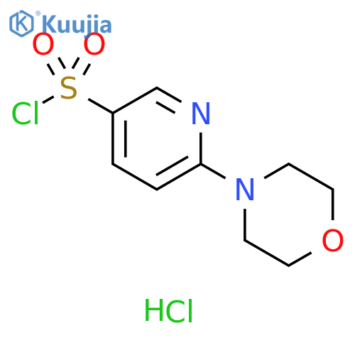 6-(4-morpholinyl)-3-pyridinesulfonyl chloride HCL structure