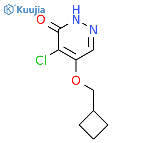4-Chloro-5-(cyclobutylmethoxy)pyridazin-3(2H)-one structure