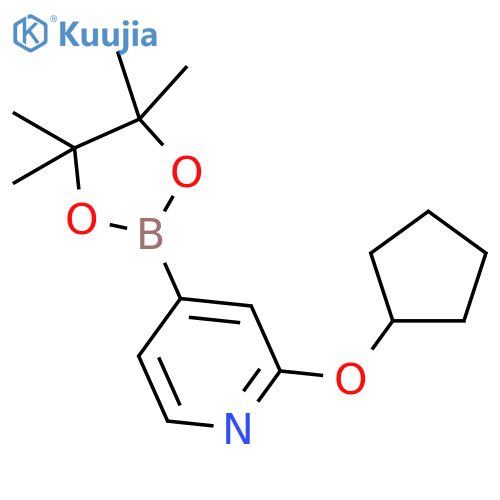 2-(Cyclopentyloxy)-4-(4,4,5,5-tetramethyl-1,3,2-dioxaborolan-2-yl)pyridine structure