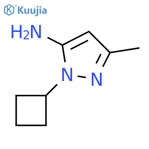 2-Cyclobutyl-5-methyl-2H-pyrazol-3-ylamine structure