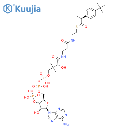Coenzyme A, S-[(αS)-α-methyl-4-(2-methylpropyl)benzeneacetate] structure