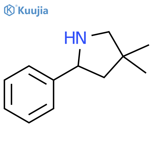 4,4-dimethyl-2-phenyl-pyrrolidine structure