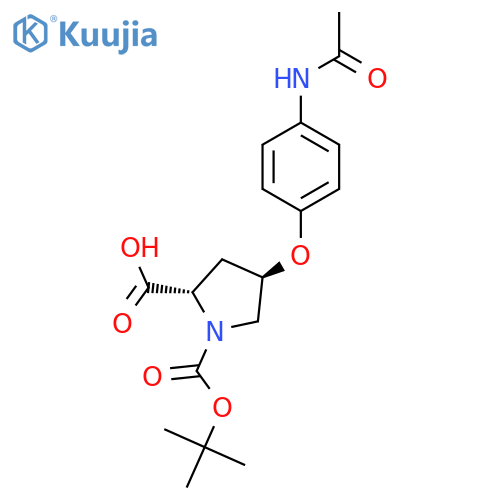 (2S,4S)-4-4-(Acetylamino)phenoxy-1-(tert-butoxycarbonyl)-2-pyrrolidinecarboxylic Acid structure