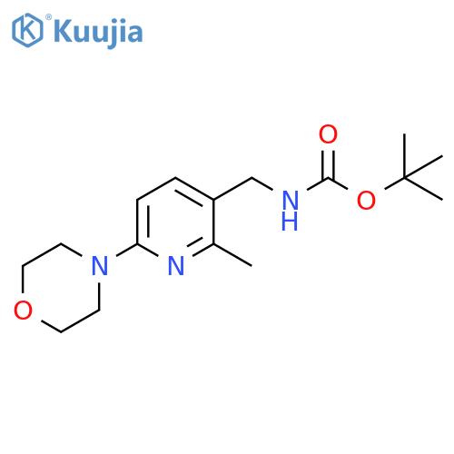 (2-Methyl-6-morpholin-4-yl-pyridin-3-ylmethyl)-carbamic acid tert-butyl ester structure