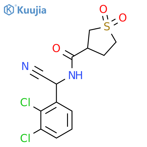 N-[cyano(2,3-dichlorophenyl)methyl]-1,1-dioxo-1lambda6-thiolane-3-carboxamide structure