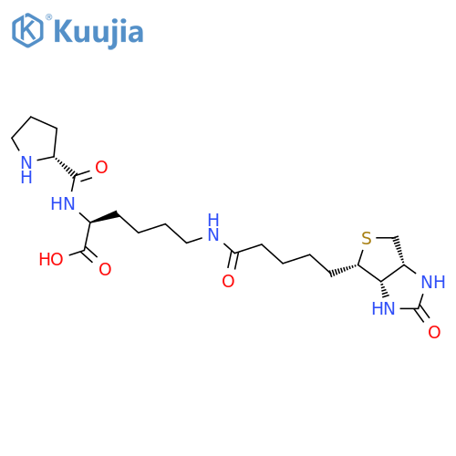 Biocytin-L-proline structure