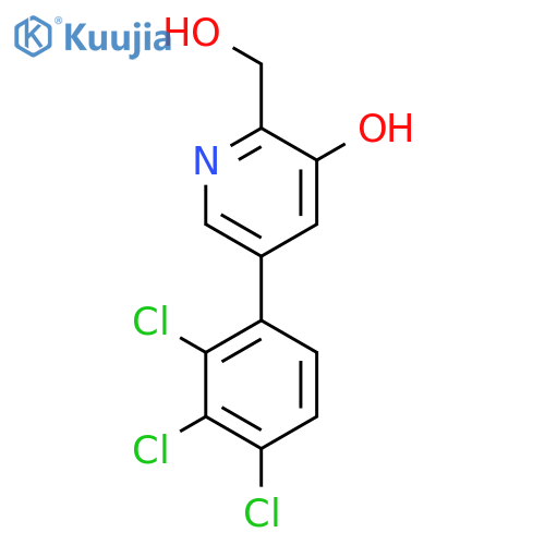 3-Hydroxy-5-(2,3,4-trichlorophenyl)pyridine-2-methanol structure