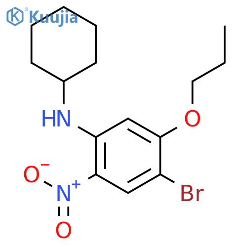4-Bromon,-N-cyclohexyl-2-nitro-5-propoxyaniline structure