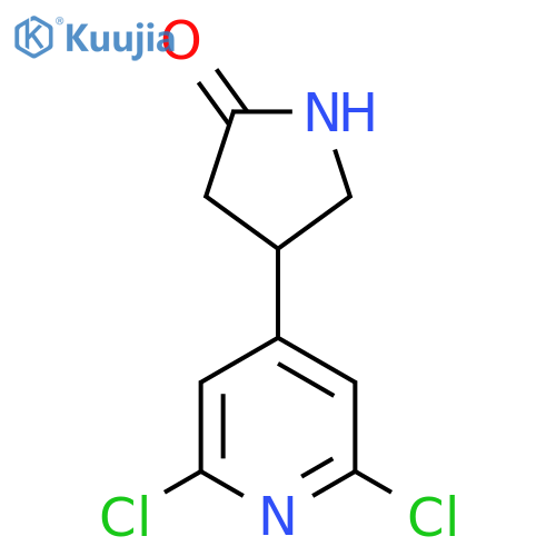 4-(2,6-dichloropyridin-4-yl)pyrrolidin-2-one structure
