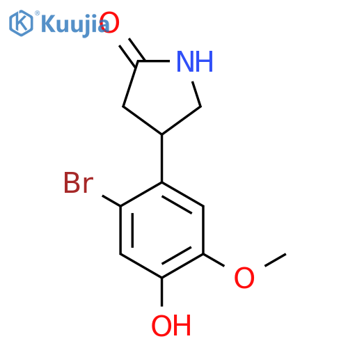 4-(2-bromo-4-hydroxy-5-methoxyphenyl)pyrrolidin-2-one structure