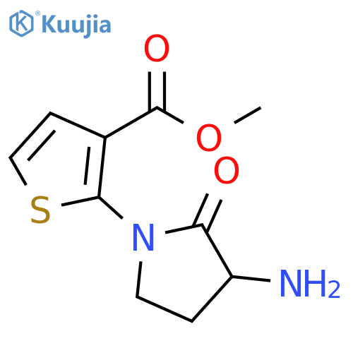 methyl 2-(3-amino-2-oxopyrrolidin-1-yl)thiophene-3-carboxylate structure