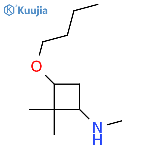 3-butoxy-N,2,2-trimethylcyclobutan-1-amine structure