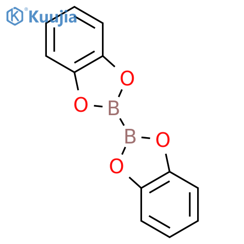 2-(1,3,2-benzodioxaborol-2-yl)-1,3,2-benzodioxaborole structure