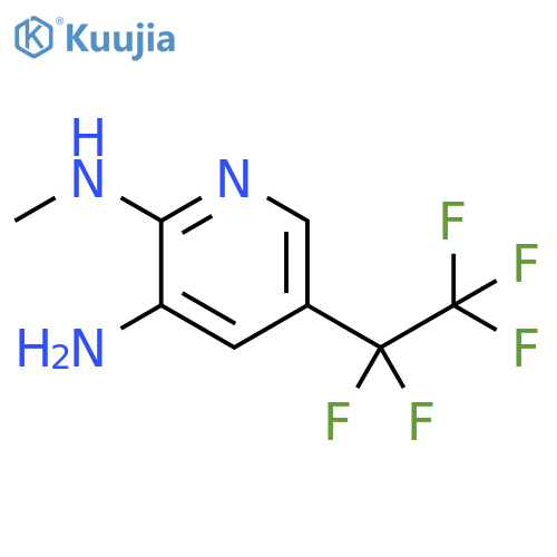 N2-methyl-5-(pentafluoroethyl)pyridine-2,3-diamine structure
