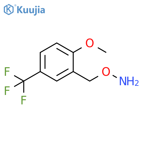 O-{2-methoxy-5-(trifluoromethyl)phenylmethyl}hydroxylamine structure