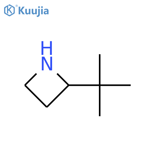 2-tert-butylazetidine structure