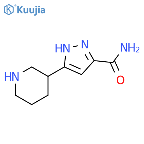 3-(3-piperidyl)-1H-pyrazole-5-carboxamide structure