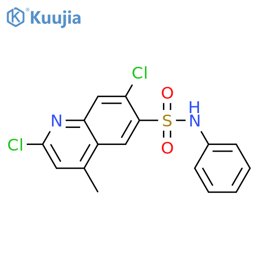 2,7-Dichloro-4-methyl-N-phenylquinoline-6-sulfonamide structure